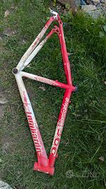 telaio bici adulto ragazzo lombardo alluminio 