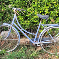 Biciclette uomo donna mtb usate
