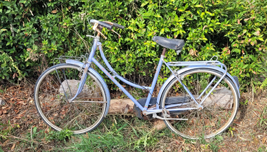 Biciclette uomo donna mtb usate