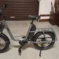 BICI ELETTRICA CARGO