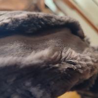 giacca corta in pelliccia di castoro nero autentic