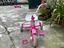 Immagine 2