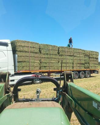 Erba Medica in balle prismatiche