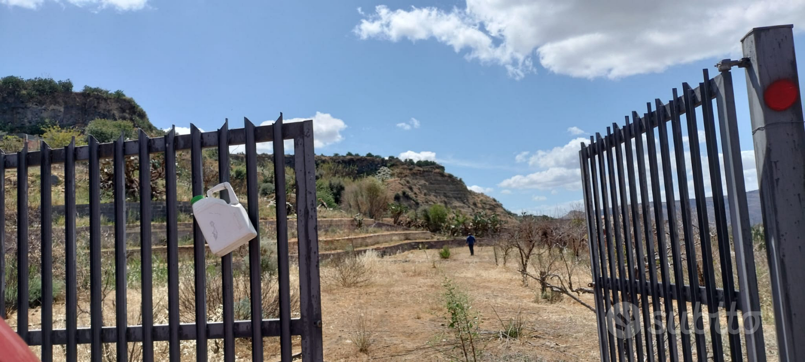 Terreno agricolo seminativo - Vista 2