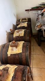 Due batterie di aceto balsamico