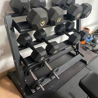 Rastrelliera lacertosus