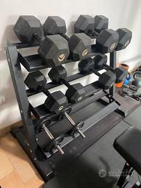 Rastrelliera lacertosus