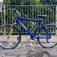 Bici Galetti Mountain Bike