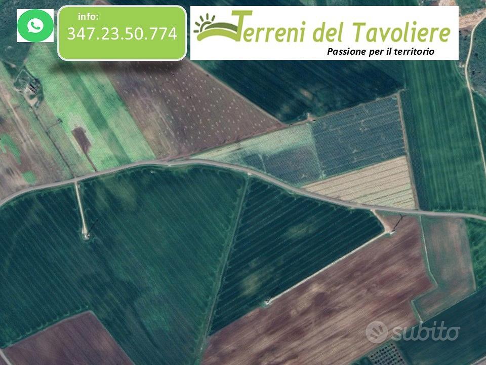 Terreno Agricolo 24 Ettari - Apricena - Vista 3