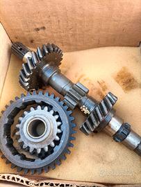 Kit Ingranaggi cambio Fiat 500 L e F