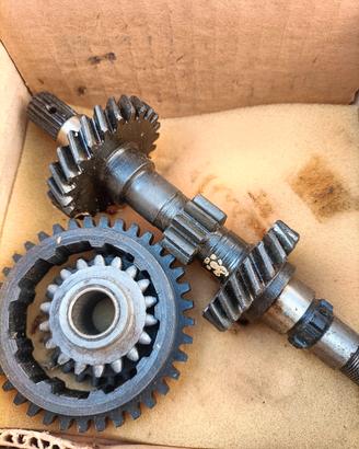 Kit Ingranaggi cambio Fiat 500 L e F