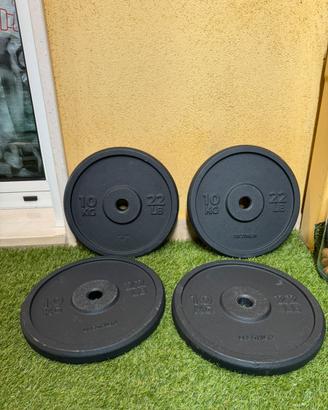 Dischi 10kg Decathlon