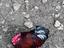Immagine 2
