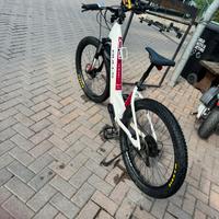 Bicicletta elettrica