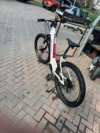 Bicicletta elettrica