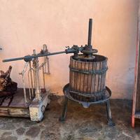 Torchio per uva