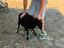 Immagine 6