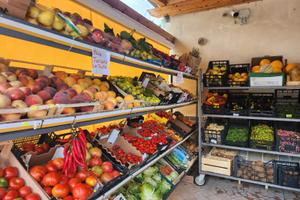 Attività commerciale ottimamente avviata