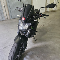 Z 650