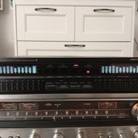 Equalizzatore Pioneer GR X540 midi (36 cm)