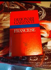 dizionario francese  italiano 