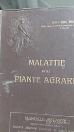 MANUALE SULLE MALATTIE DELLE PIANTE AGRARIE