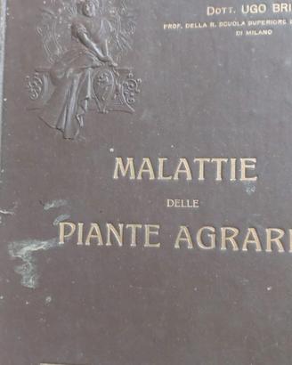 MANUALE SULLE MALATTIE DELLE PIANTE AGRARIE