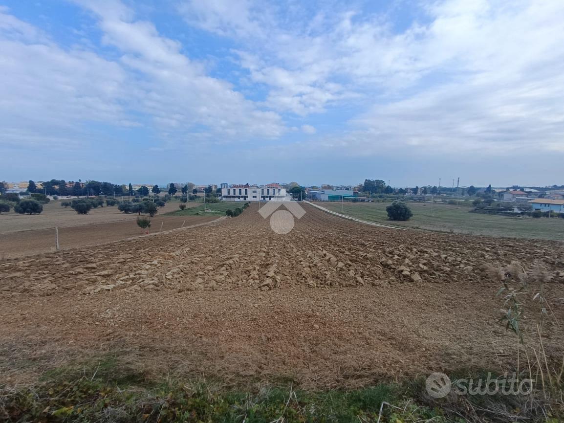 TERRENO A TORTORETO - Vista 3