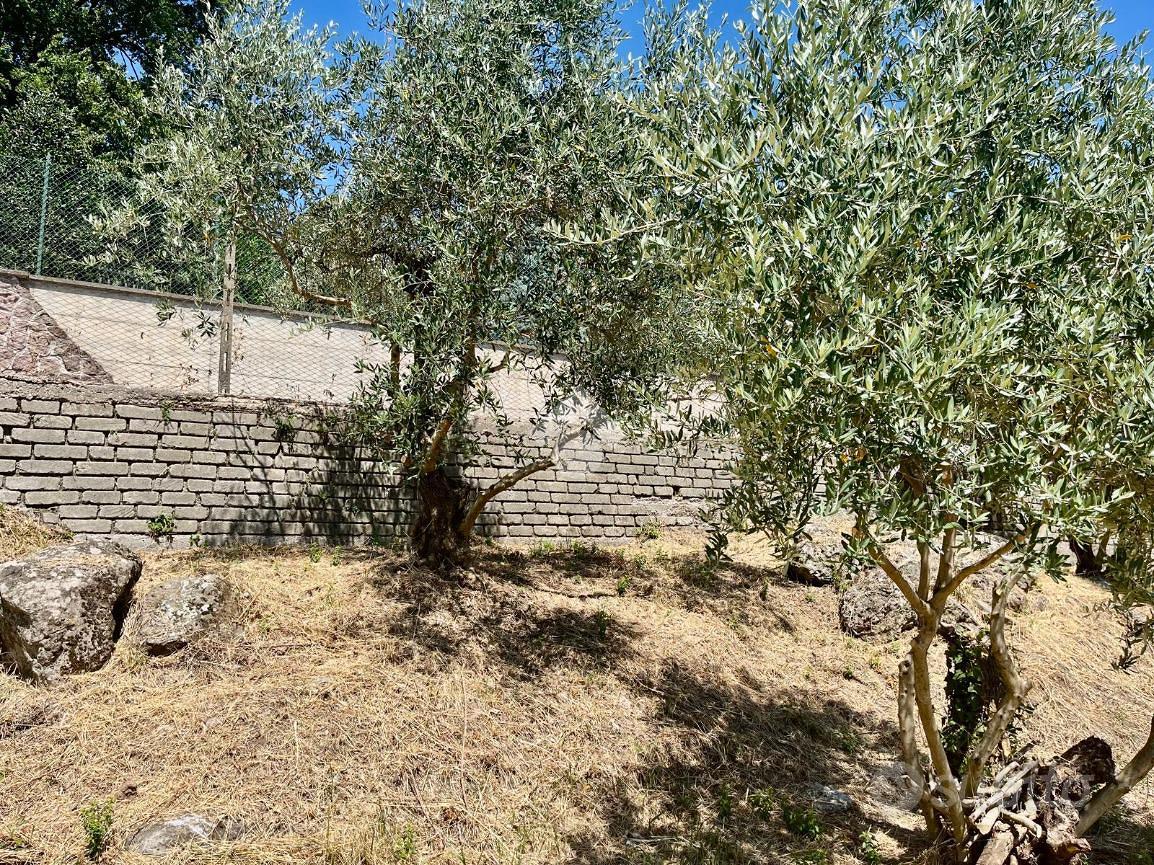 TER. AGRICOLO A SORIANO NEL CIMINO - Vista 2