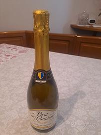 bottiglia  vino da collezione