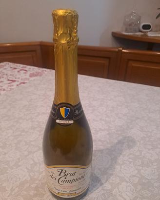 bottiglia  vino da collezione