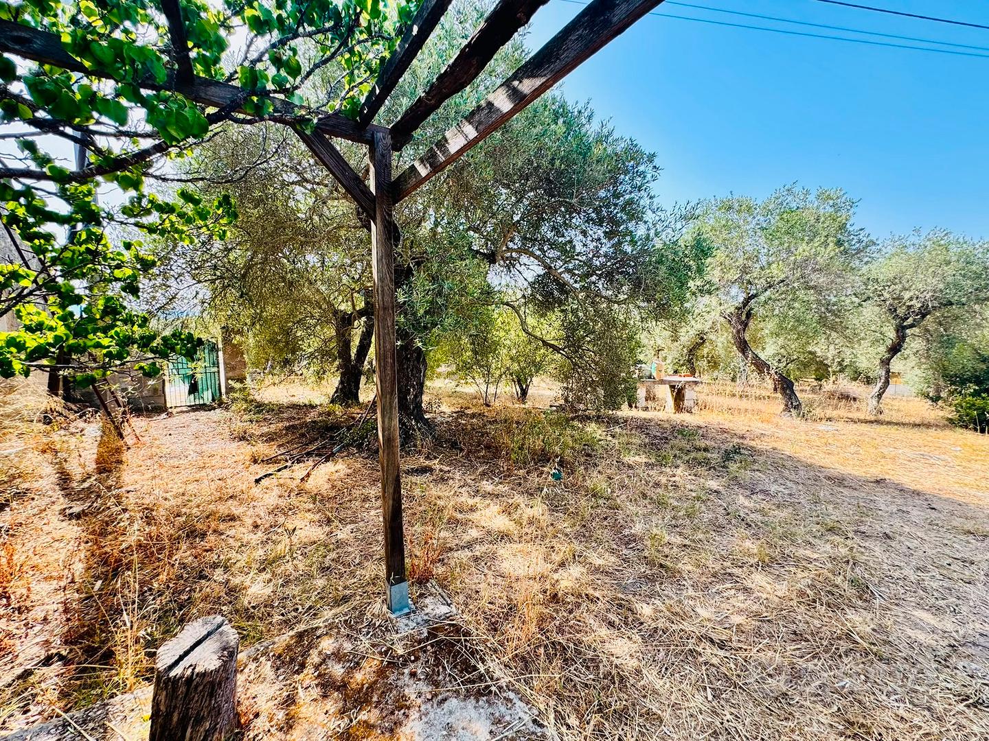 Casa in campagna a pochi km dalla citta' - Vista 4