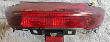 Gruppo ottico posteriore Yamaha Majesty 250 00-06