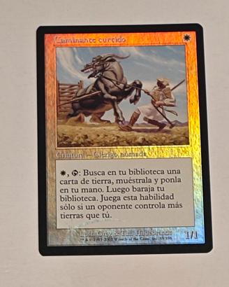 MTG - Viandante Navigato FOIL