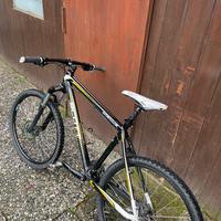 Bicicletta mountain bike