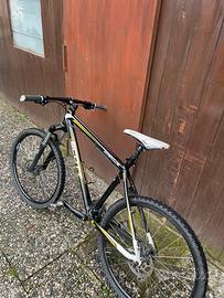 Bicicletta mountain bike