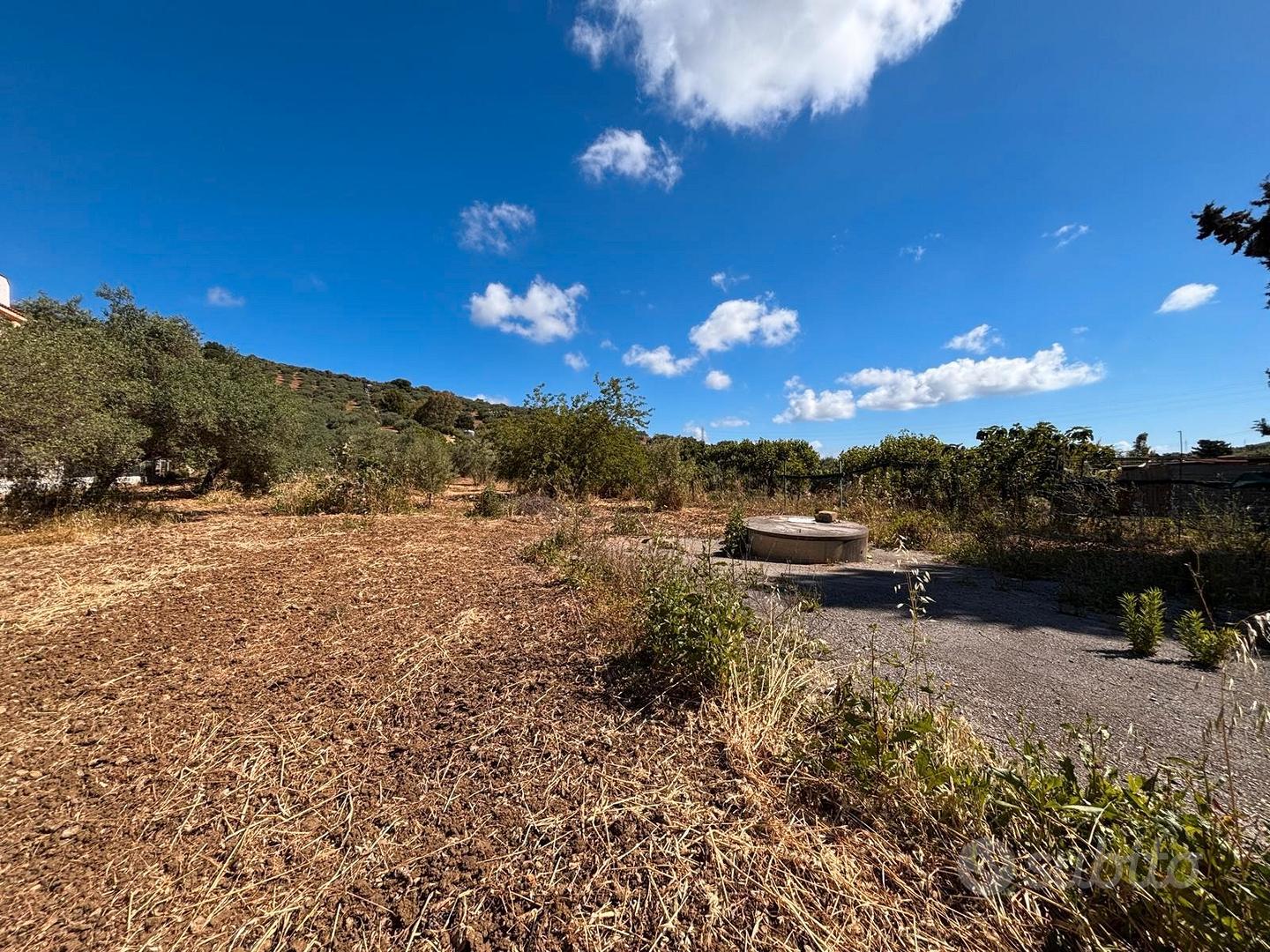 Terreno 5.000 mq - Vista 4