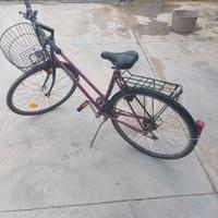 Bici da 28 pollici