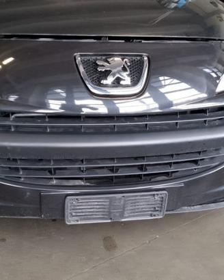 Paraurti anteriore PEUGEOT 207 del 2007