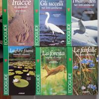ECOGUIDE VALLARDI  1a edizione 1991