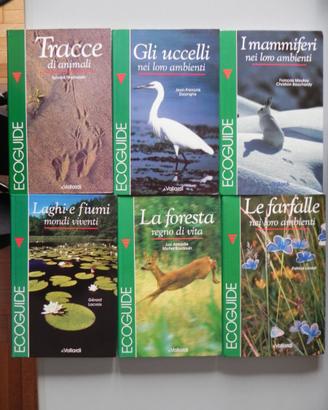 ECOGUIDE VALLARDI  1a edizione 1991