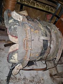 basco per asini militare