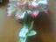 Immagine 5