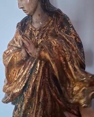 Madonna Immacolata