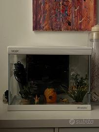 Acquario Mirabello Newa