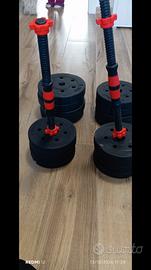 Pesi più manubri( 28,5 kg)