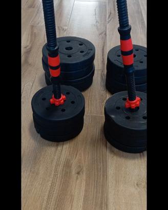 Pesi più manubri( 28,5 kg)