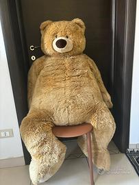Vendi peluche orso trudi