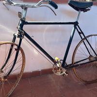 Bicicletta raleigh