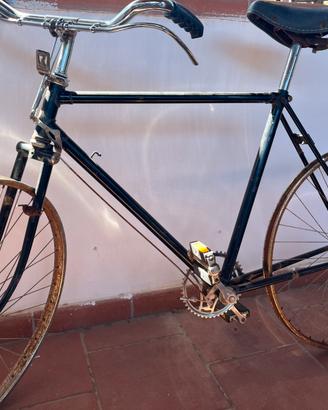 Bicicletta raleigh